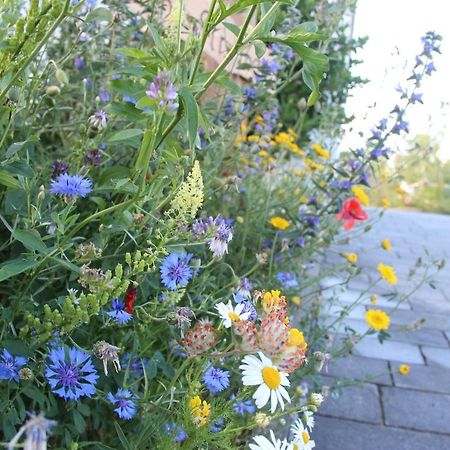 Ferienwohnungen "Blumenwiese" Dilinga Exterior foto