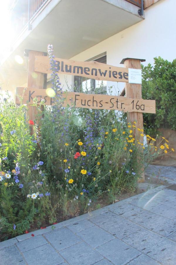 Ferienwohnungen "Blumenwiese" Dilinga Exterior foto